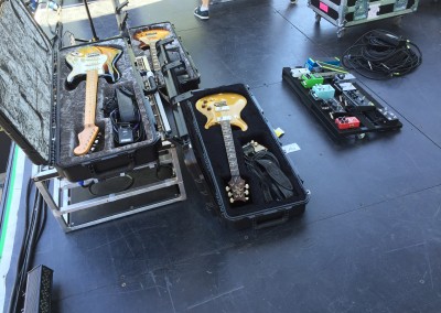 Guitars